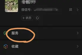 灵活就业如何在微信交社保图片