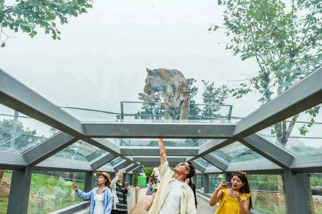 山东夏季“顶流”线路公布，荣成5处上榜，这波安利可以冲了~