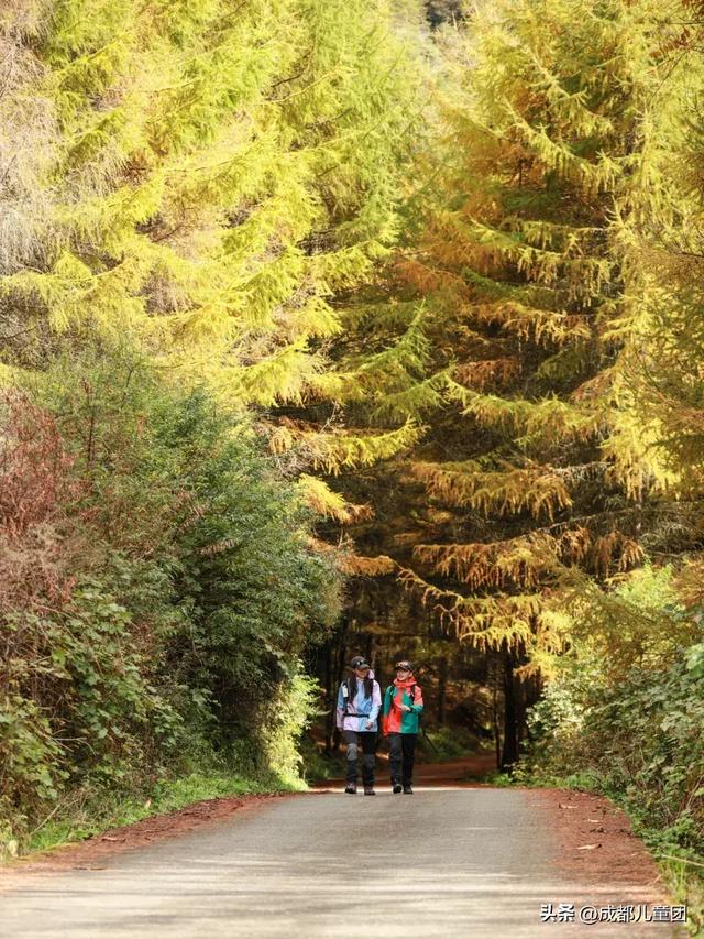 成都周边8条赏秋彩林线，人少景美，12年资深徒步玩家推荐