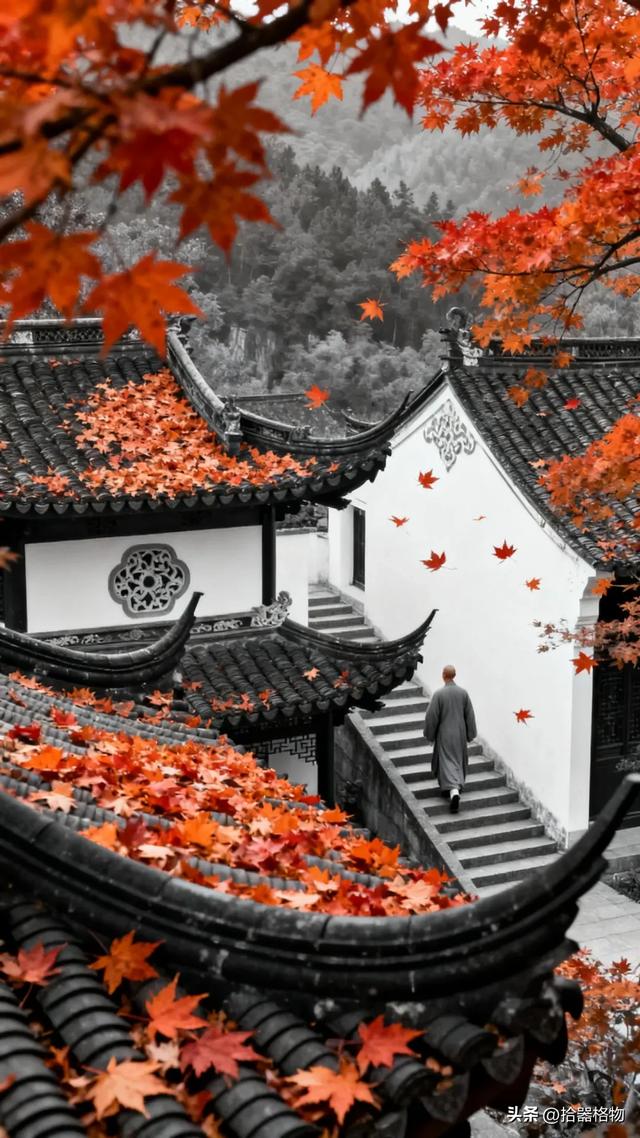 秋日私语：邂逅一场被时光遗忘的斑斓