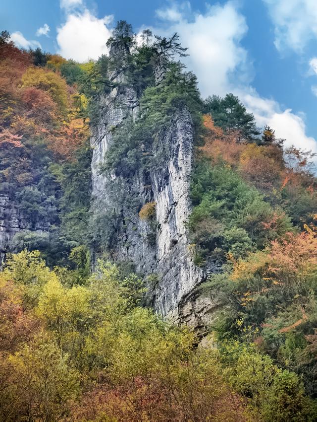 上坝彩林 彩林坝上