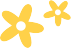 秋日限定！康巴什“花海”翻涌