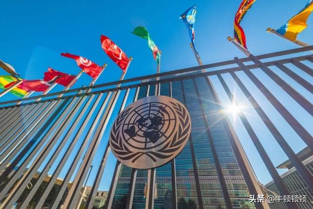 以“欠税”为名强闯：联合国机构遭占领，规则成摆设？