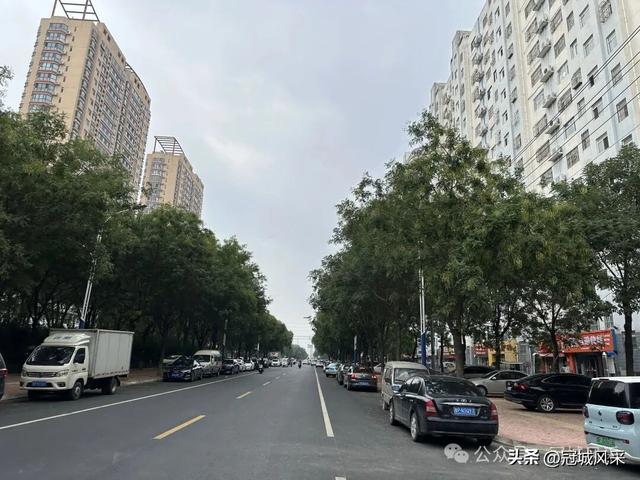 冠县印记·兴贸路