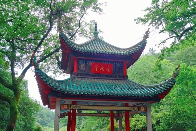 2025“中国最美十大城市”出炉，深圳第3，广州第6，大连垫底！