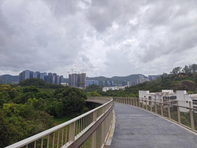 西丽湖国际科教城绿道高清随拍