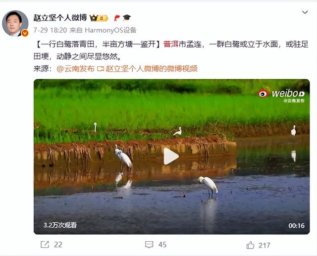 赵立坚在线“打Call”！夏日避暑云南赢麻了