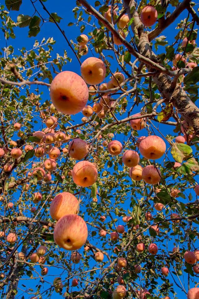 太全面了！8条游玩线路+京郊汤泉！带您玩转北京这里！（1）