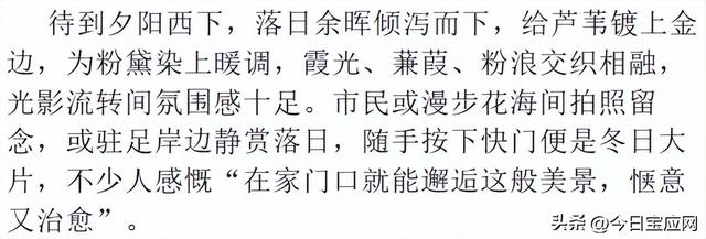 宝应运河边又一打卡地：霞落蒹葭处，粉黛醉斜阳