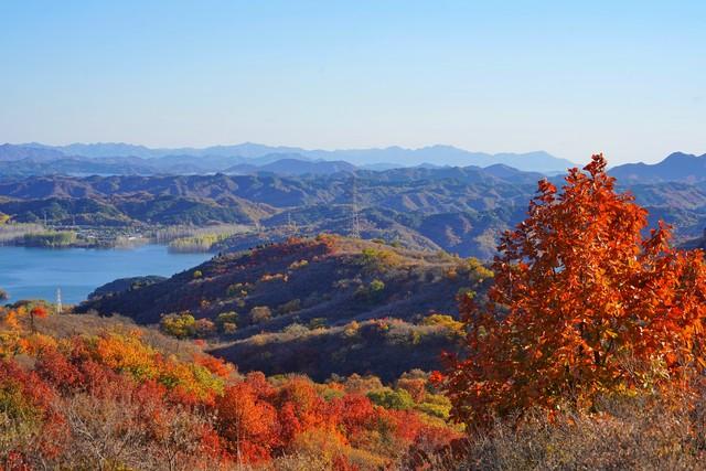 北京的封神红叶，藏在这五条私藏路线里！最后一个醉在深秋绝了！