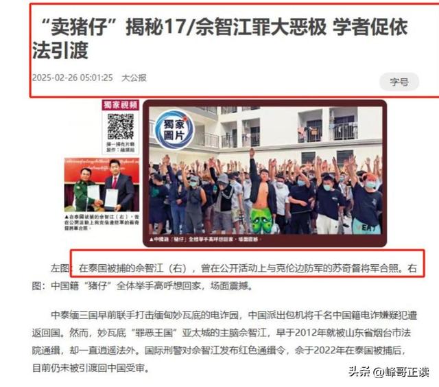 拔出萝卜带出泥！49岁赵薇近况被曝，原来圈内封杀只是冰山一角