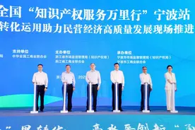 两月两场全国性知识产权活动，宁波为什么能？图片