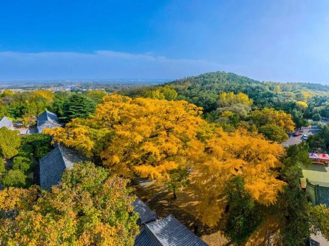 红了！红了！从市区出发30分钟车程就能到达！