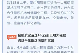 【民航一句话热点新闻】（3月20日发布）图片