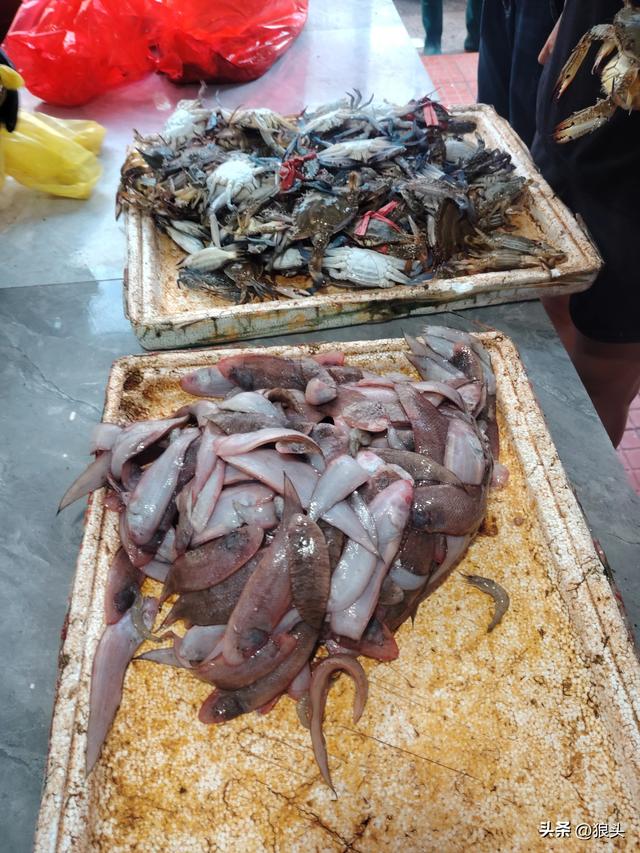 游记：名不经传的龙门镇