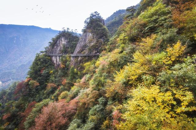11月错峰旅行，适合去的6个目的地，秋末冬初，好风景众多