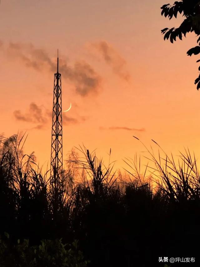 “都市栗人” 指南：坪山寻景品咖、暖过秋冬