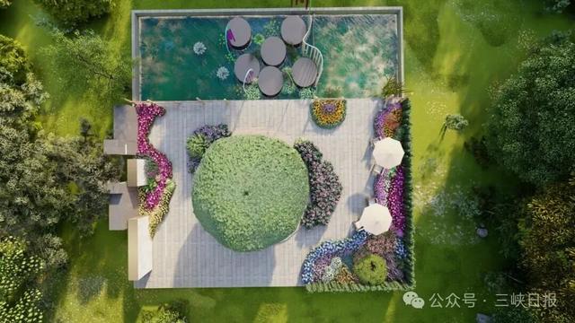 宜昌菊花展时间、地点公布