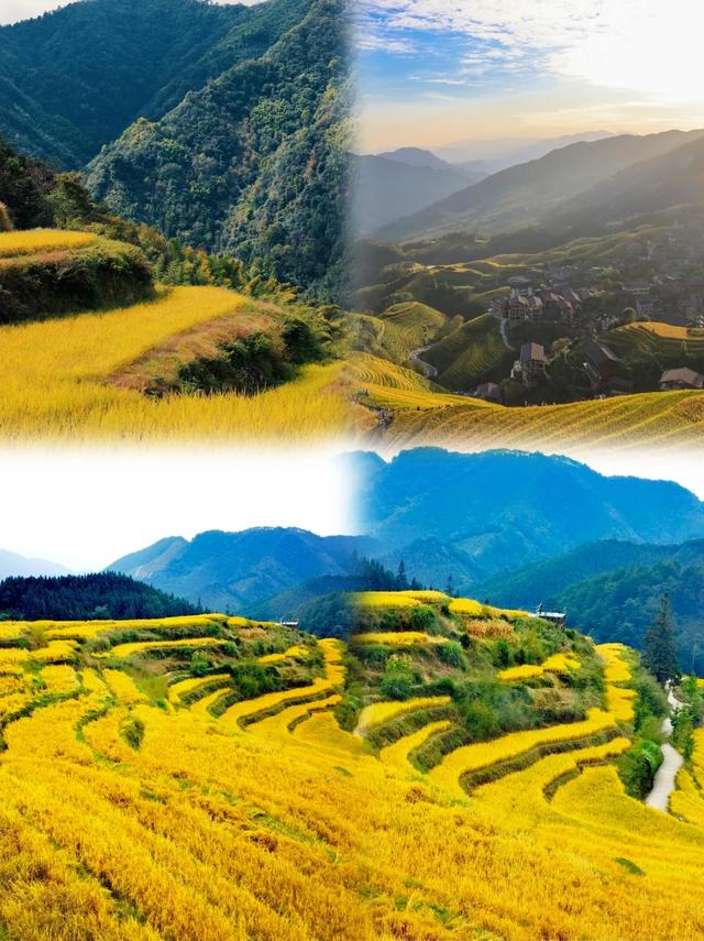 探秘雷山梯田｜这份秋色限定攻略请收好！