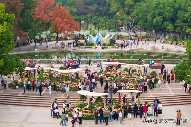 双休日武汉菊展人气爆棚，外地游客坐高铁来赏菊
