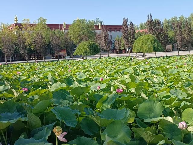 又踏甘肃地之四十五 武威篇之九 武威白塔寺（2）