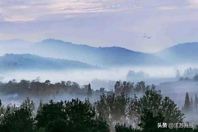 常州唯一！度假区成功入选“2025旅游项目高质量建设运营典型案例”