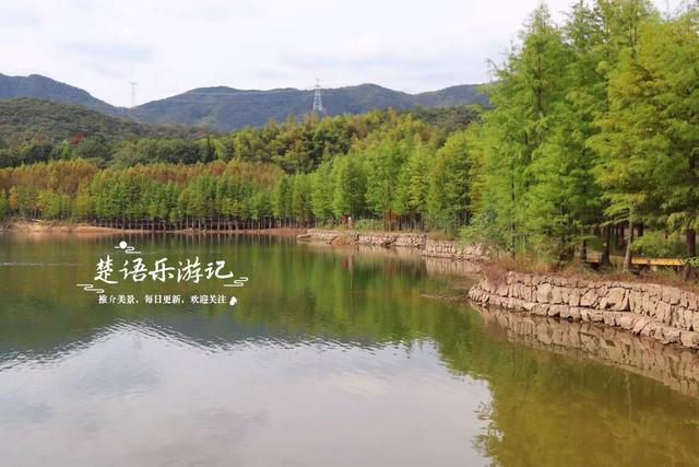 绍兴上虞的红杉观赏胜地，杉树未红时的景色也很美，非常值得游玩