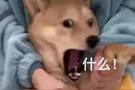 你说什么表情包图片