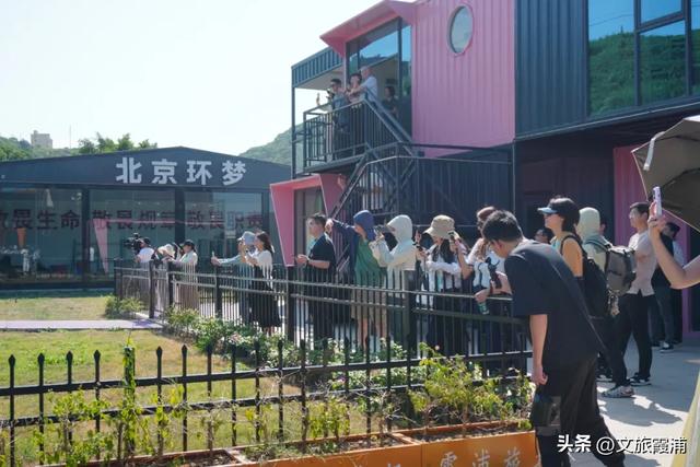 “活力中国调研行”走进霞浦,山海间勾勒文旅新图景