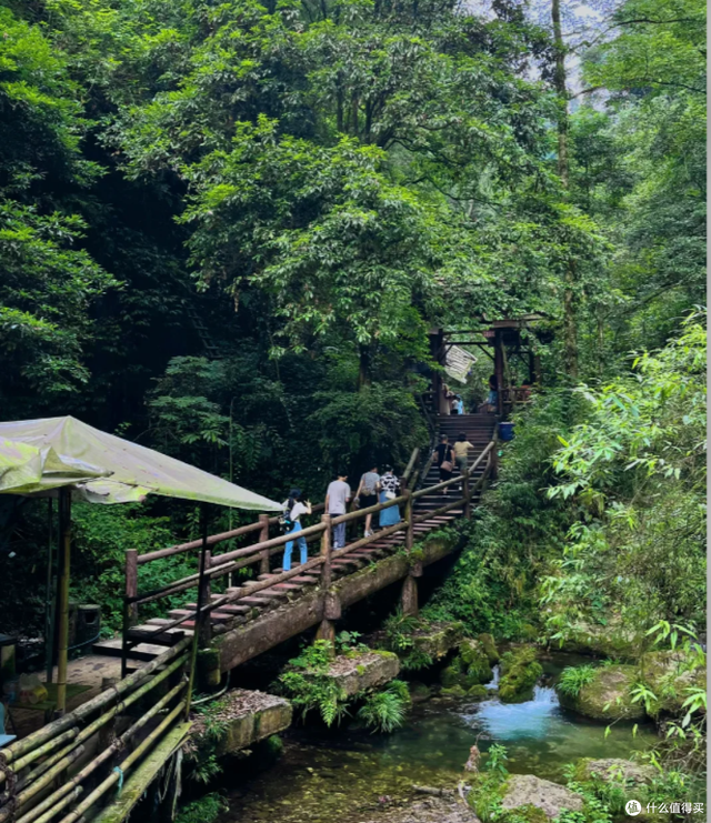 成都6天5晚吃住行玩避坑全攻略