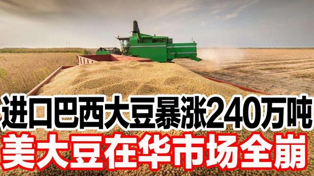 俄乌堵粮道美豆卡脖子，中国建七大粮仓拓南美，14 亿人饭碗稳了