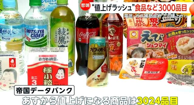 266：199！日本政坛“黑马	”出现，对华态度有意思，高市掩面痛哭