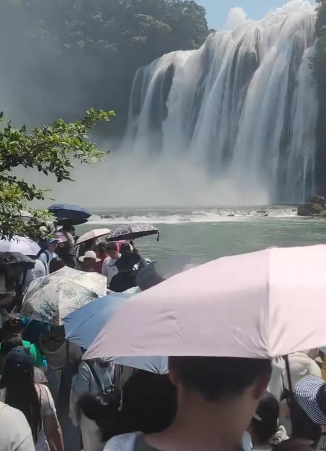 远离禽兽