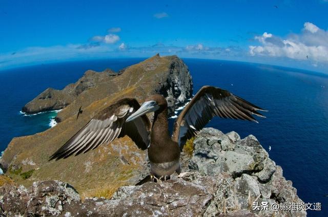 从北极万年游牧荒野，到赤道海洋湖泊群，42处世界双遗产极境之美