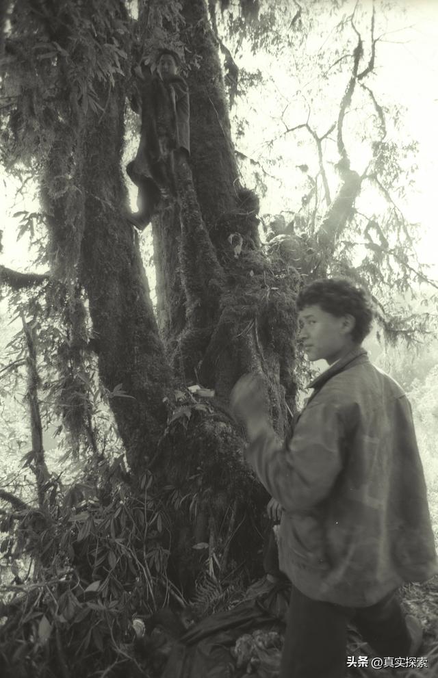 43 寻找大瀑布【瀑布—坡间营地A】晴（日记版）雅漂徒步大峡谷