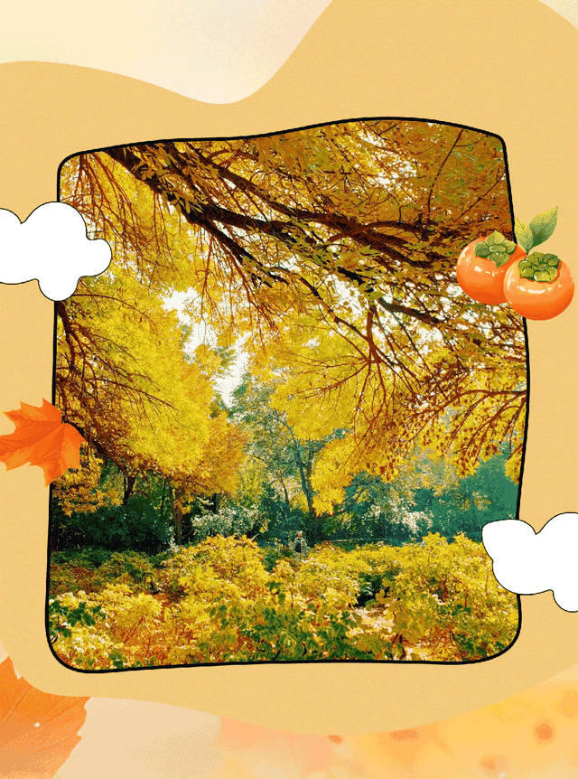 太原市迎泽区：府城漫步｜满城色彩绘就秋日画卷