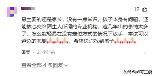 苍山自闭症男孩失联已3天：恶心一幕出现，更多人被无端质疑！