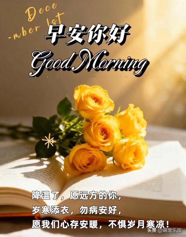 冬日清晨光线钻窗缝，那份温暖轻抚心房，让光明走进你的世界