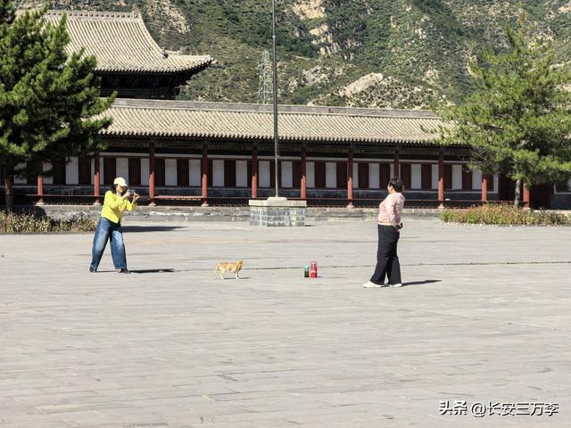 北上大草原第12站：登恒山易，探悬空寺难