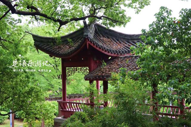 浙江宁波的古典园林式公园，毗邻火车站却被人忽略，景色相当秀丽