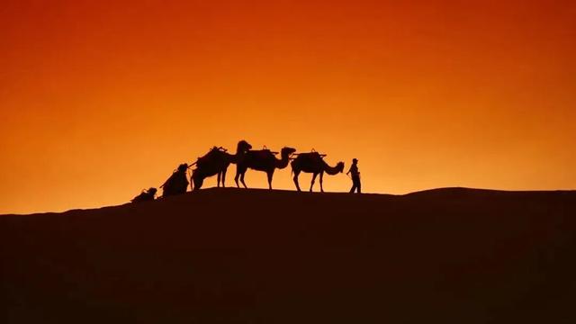 塞上江南 颐养宁夏丨中卫篇：品味杞乡风情，体验沙水相依的颐养之旅