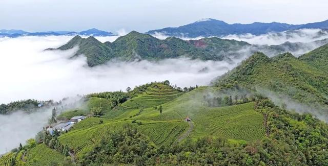 门票再便宜也没用！文旅行业已变天：游客现在只为一个字买单