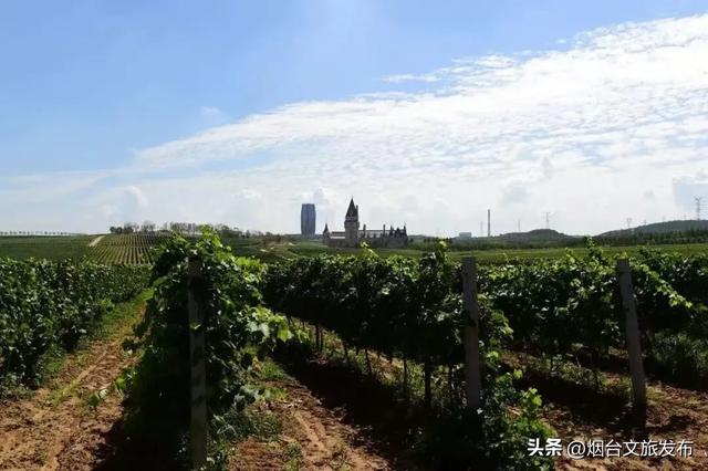 【乐游烟台】假日好去处 | 国庆来烟台，这样玩就对了！