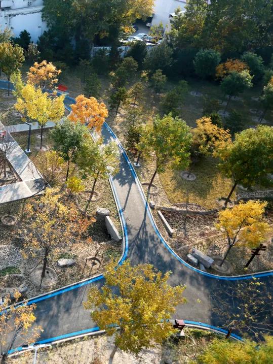 丰台的公园又双叒叕上新啦!