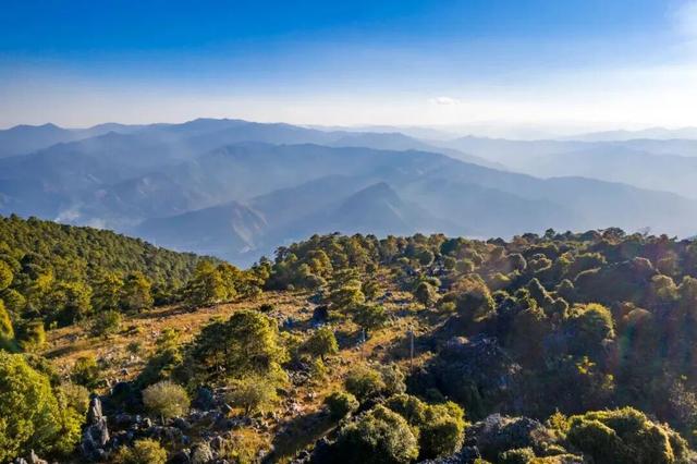 冬天到攀枝花晒太阳是定律来的！