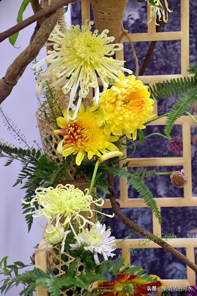 菊花是秋天里美丽的图画