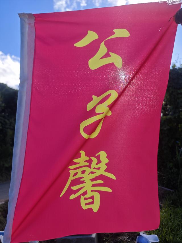 西丽湖绿道，慢慢骑慢慢地欣赏。