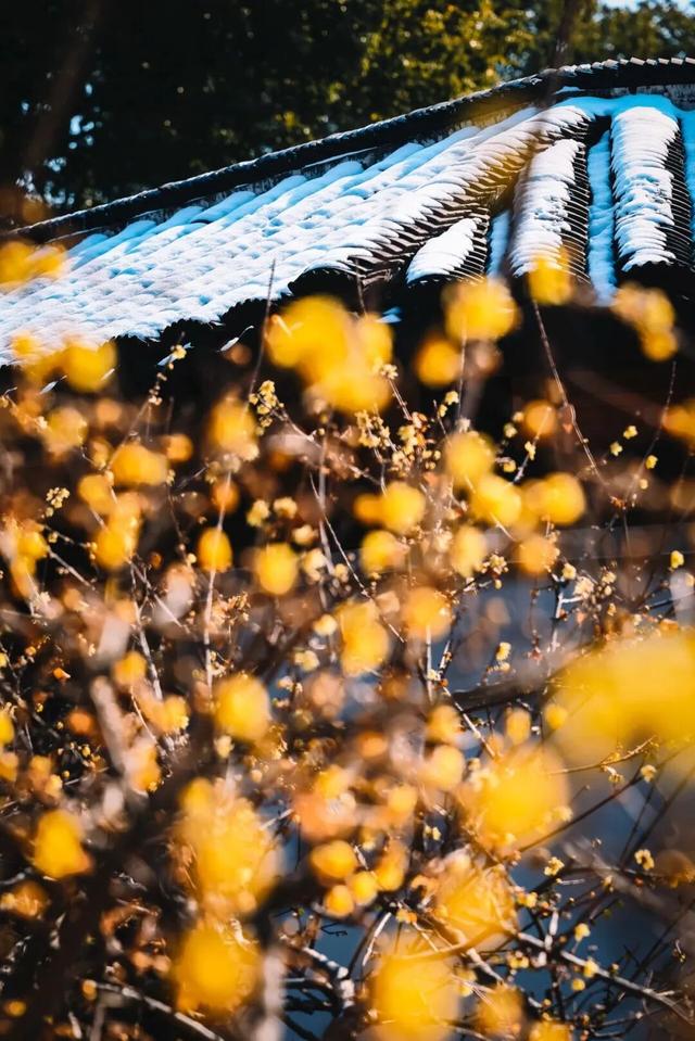 无锡又一大型雪世界，要来了！