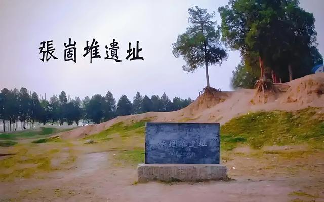 菏泽市历史文化集萃|山