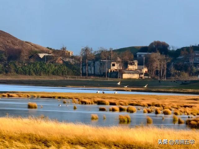 冬之云南 万羽衔霜｜新霞客·旅居记